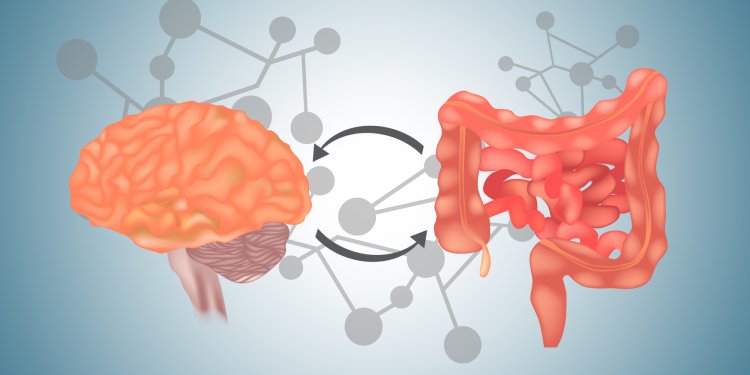 Understanding the Gut-Brain Connection