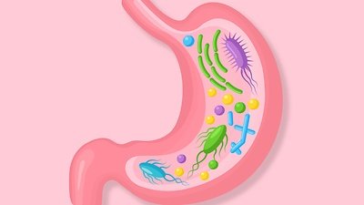 6 Signs Your Gut Flora May Be Out of Balance