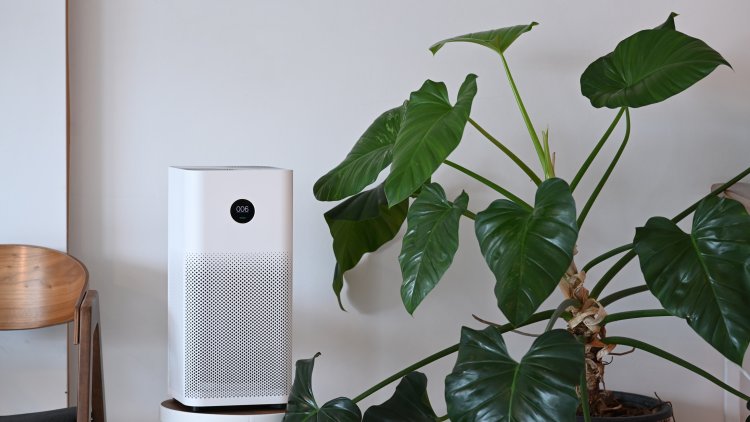 Top Rated Air Purifiers for Allergies in 2024