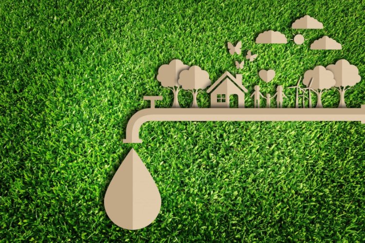 10 Simple Eco-Friendly Practices for a Sustainable Lifestyle